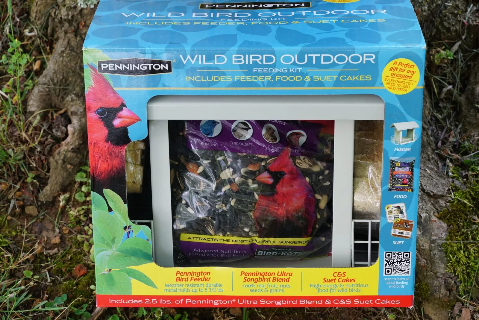 boxed wild bird feeder kit