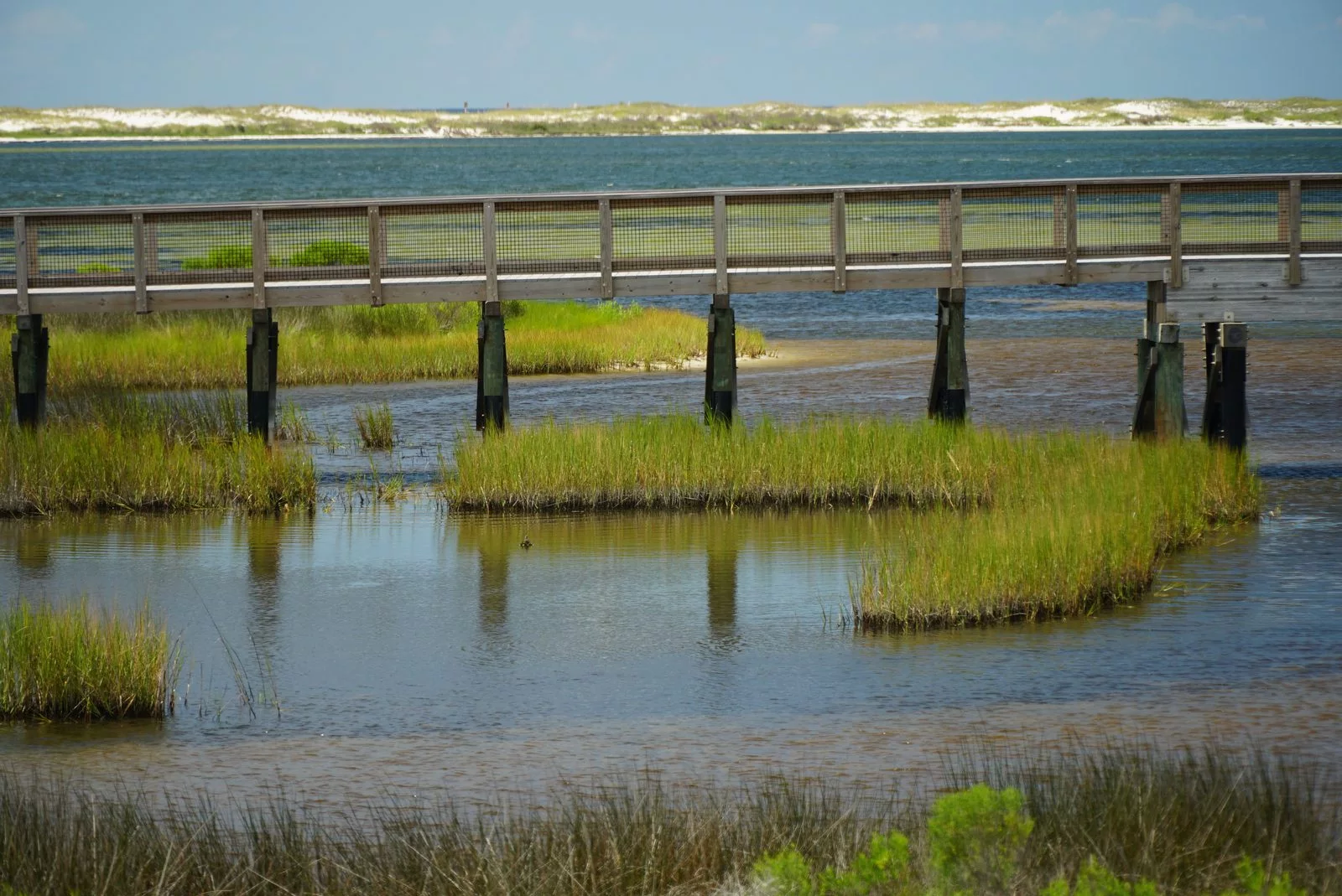marsh and gulf beach boardwalk
