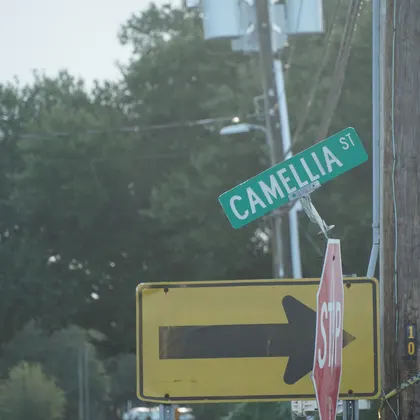 Biloxi sidewalks aren't the only thing damaged in this town